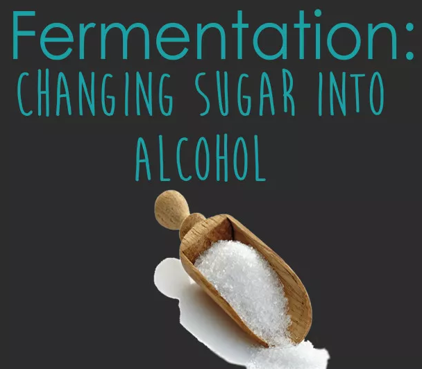 葡萄酒糖分越高，酒精度就越低？