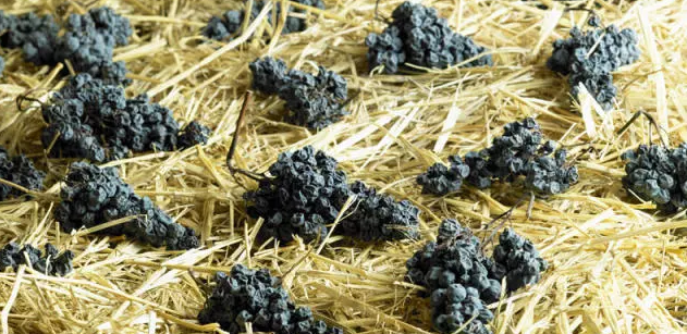 葡萄酒糖分越高，酒精度就越低？