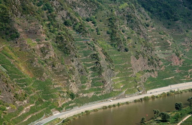 法國也有摩澤爾葡萄酒產區(qū)